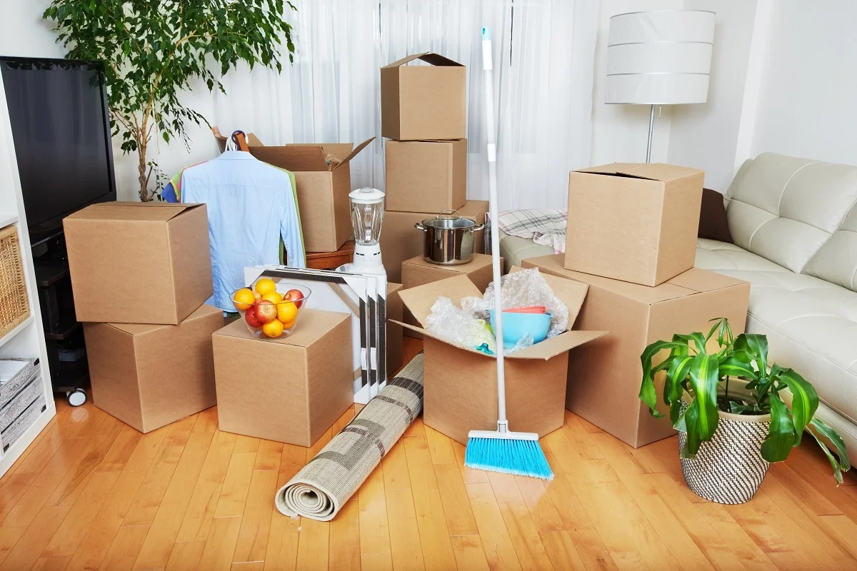 Move In-Out Cleaning Service